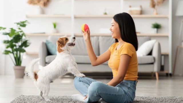 3 Ways to Enhance Your Pet's Health (1)