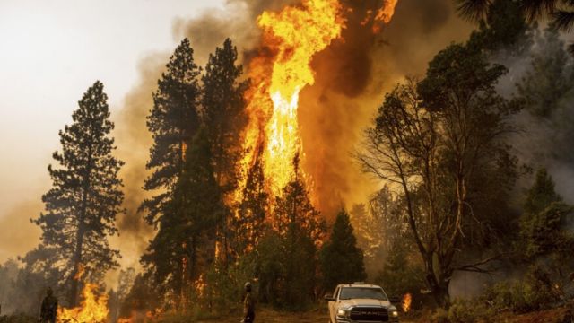 California's Growing Crisis Wildfires Present a Staggering $761 Billion Threat (1)