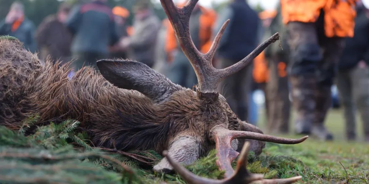 Hunting for Change Michigan DNR Introduces Program to Boost Hunter Numbers