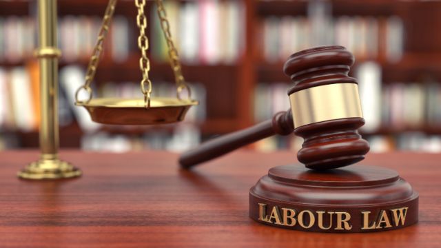 Labour Law Compliance Firms in the United States