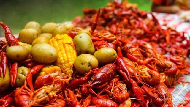 Missing Mud Bugs The Possibility of Crawfish Scarcity in Texas This Year (1)