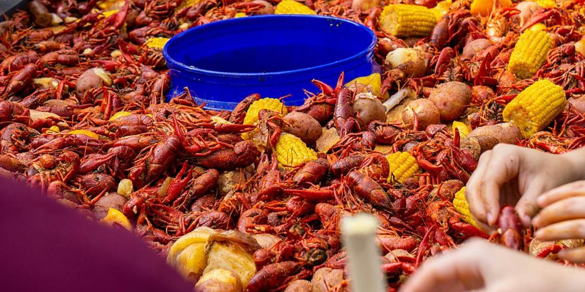 Missing Mud Bugs The Possibility of Crawfish Scarcity in Texas This Year