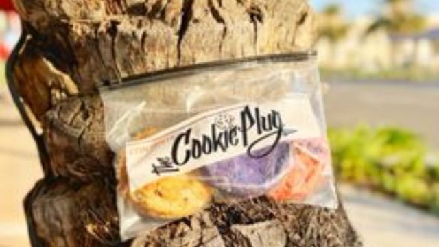 Now, Your Sweet Tooth at COOKIE PLUG Lakewood A Warm and Welcoming Haven of Creative Cookie Delights (1)