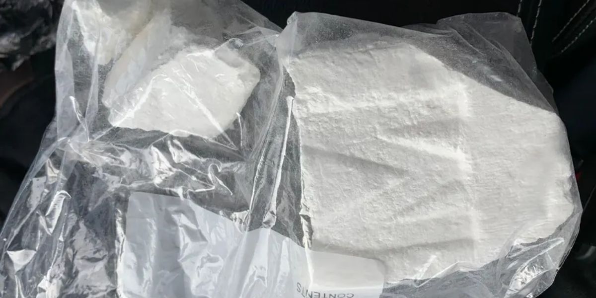 $110,000 Drug Haul Hillsborough County Cracks Down on Cocaine Trafficking