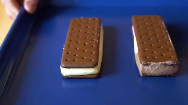 Cold Facts Exploring the Science Behind Walmart Ice Cream Sandwiches' Unmeltable Nature' (1)