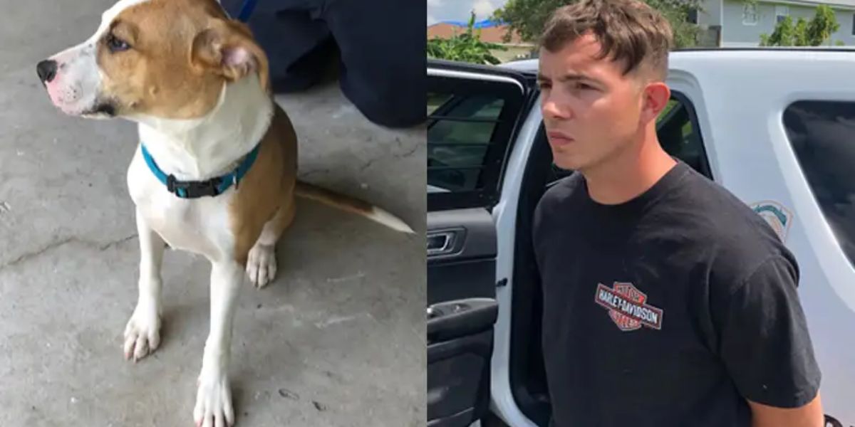 Douglas Authorities Apprehend Man Caught on Video Brutally Slamming Dog to Ground