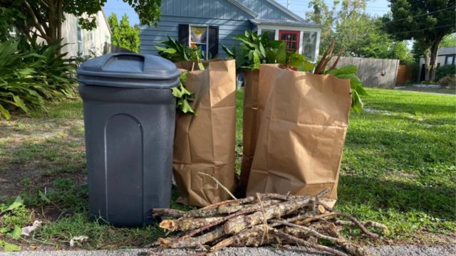 Tampa’s New Yard Waste Collection Rules, What You Should Know (1)