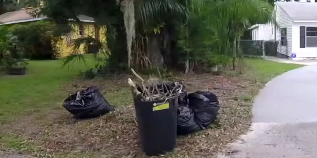 Tampa’s New Yard Waste Collection Rules, What You Should Know