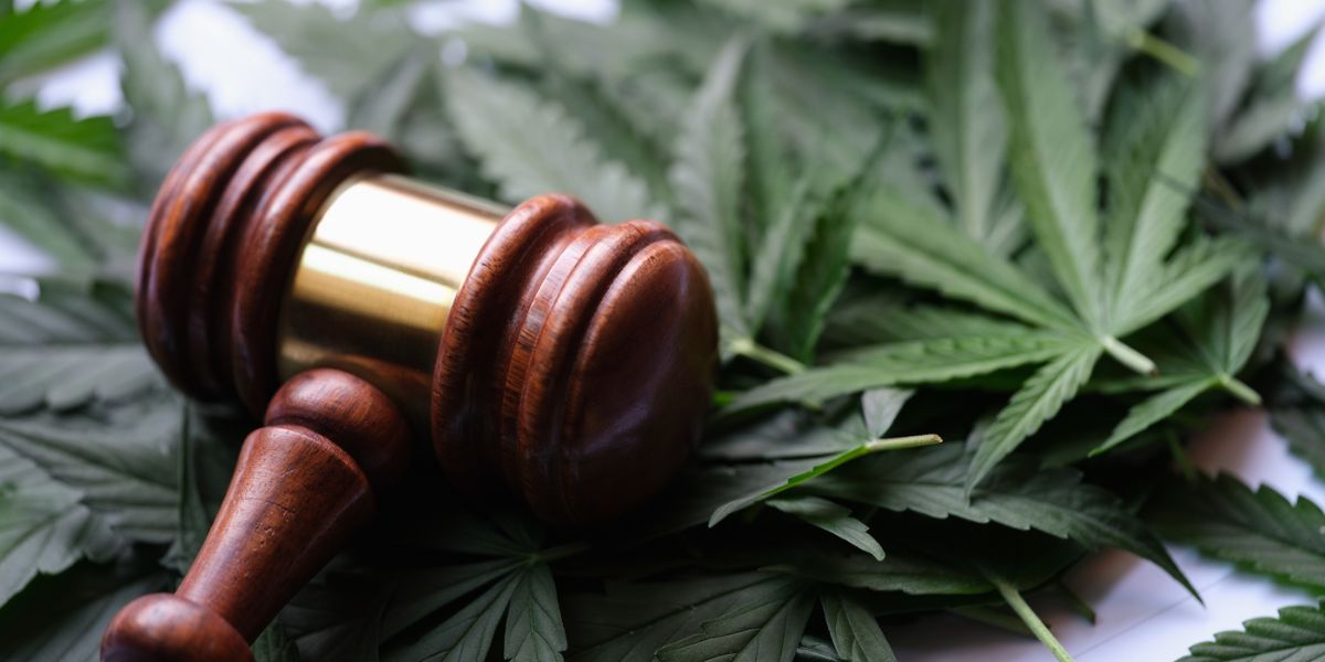 Texas Cannabis Laws A Comprehensive Overview, What Should You Know