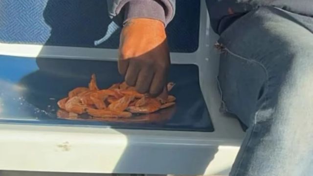 TikTok Sensation Man Eats Shrimp off Chicago Train Seat, Sparks Controversy (1)