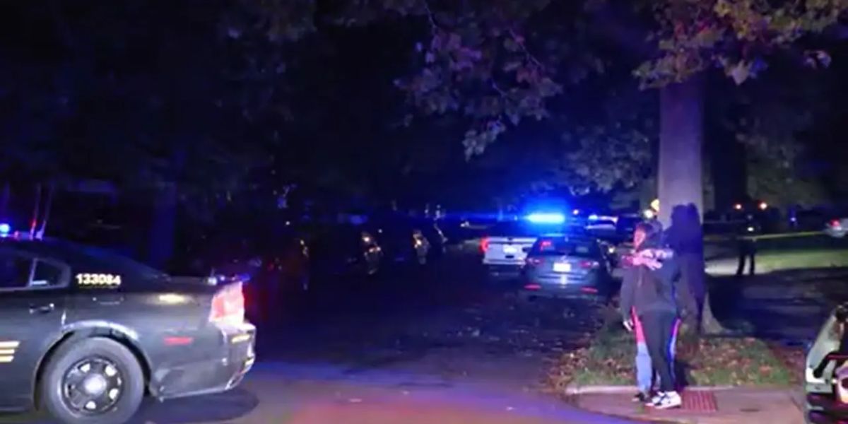 Tragedy Strikes 19-Year-Old Fatally Shot in Baby Shower Incident