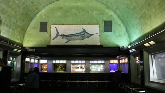 Is This Really Michigan the Oldest Aquarium in America (1)