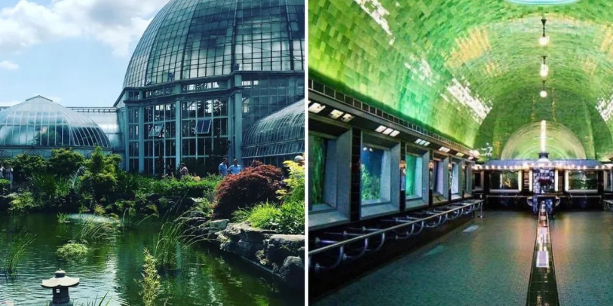 Is This Really Michigan the Oldest Aquarium in America