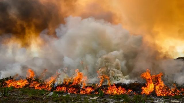 TSCRA Disaster Relief Fund Now Accepting Applications for Cattle Raisers Affected by Wildfires (1)