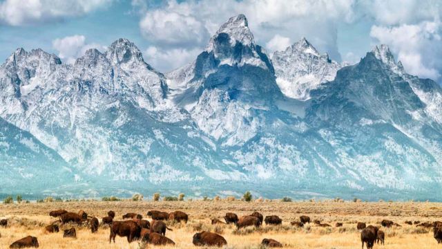 The 5 Best Places To Retire In Wyoming (1)