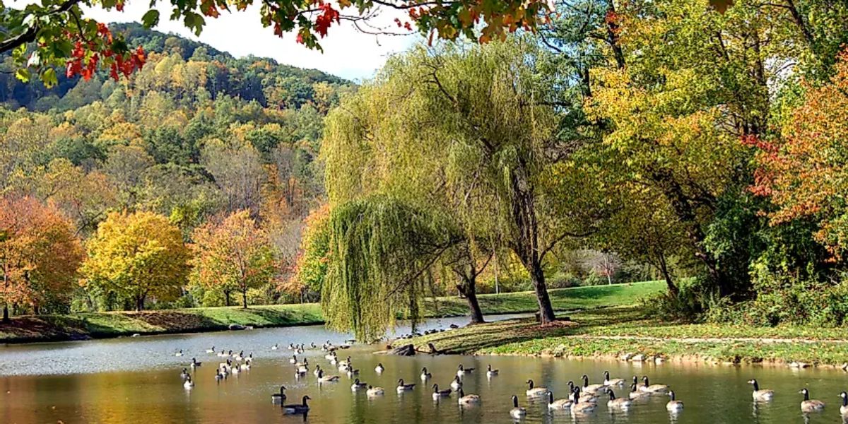 This Town Named One Of The 'Prettiest' River Towns In America