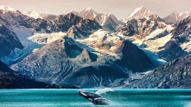 Top 6 Places To Live In Alaska (2)