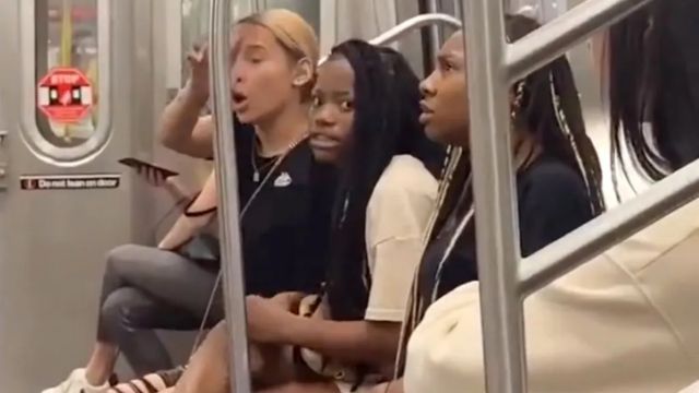 Violent Incident on Brooklyn Train, Teen Girl Assaulted, Video Goes Viral (1)