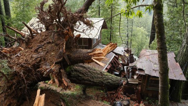 Sunday Storm Havoc Thousands Lose Power, Trees Downed Across Region (1)